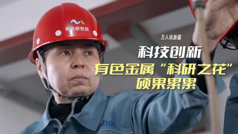 上海科技公司经营范围清单：揭秘企业多元化布局